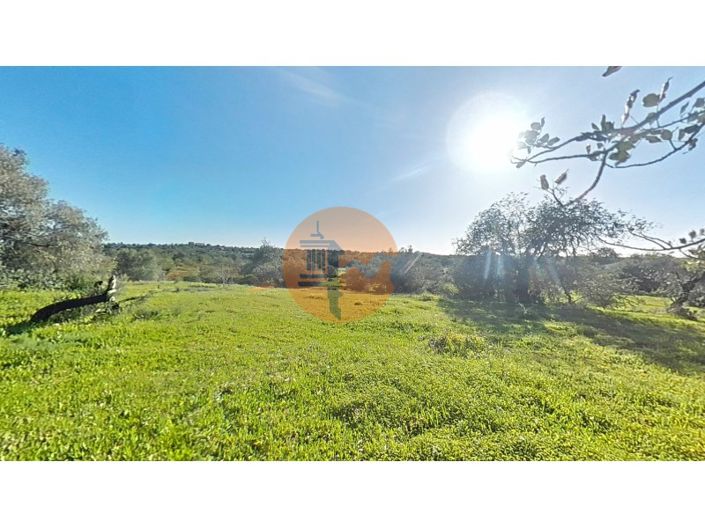 Image No.37-Plot for sale