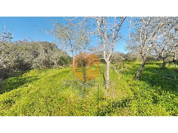 Image No.38-Plot for sale