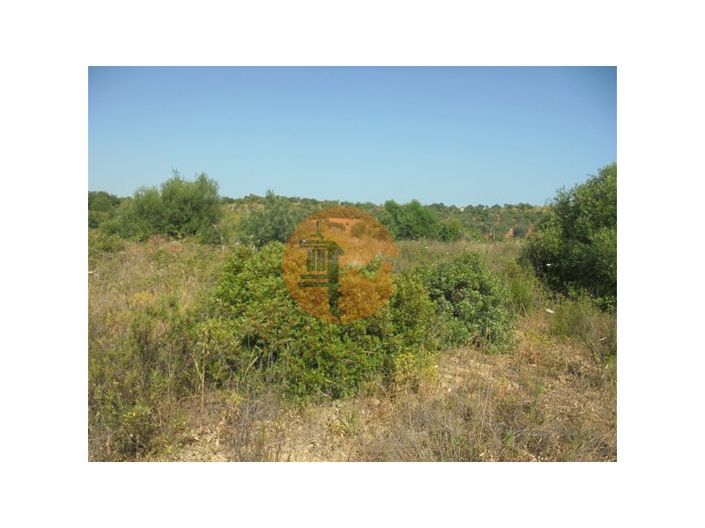 Image No.11-Plot for sale