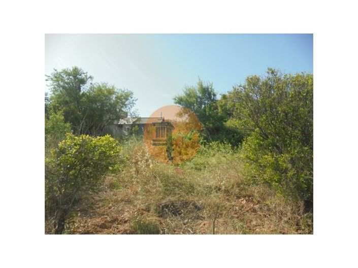 Image No.3-Plot for sale