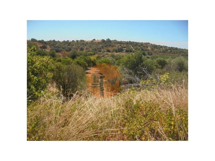 Image No.31-Plot for sale