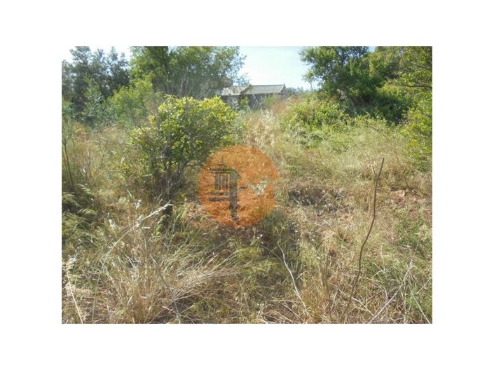 Image No.4-Plot for sale