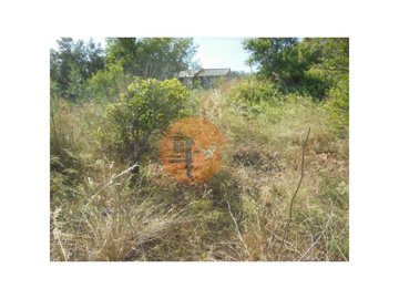 id46ba6701-0000-0500-0000-00001108b98d