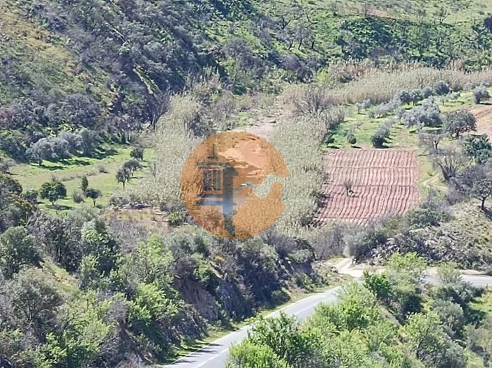 Image No.11-Plot for sale