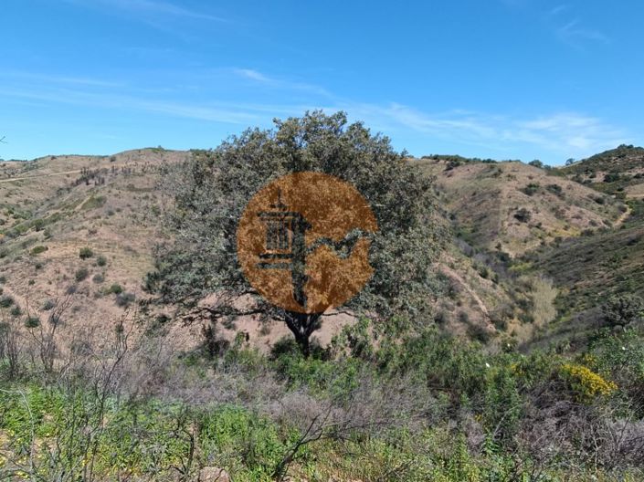 Image No.15-Plot for sale