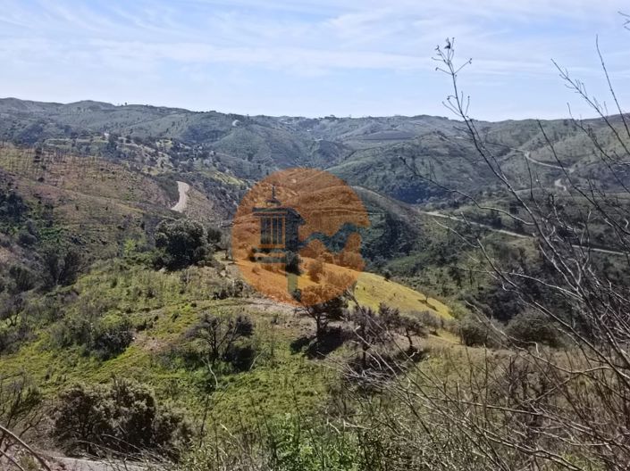 Image No.19-Plot for sale