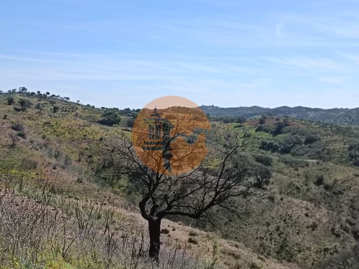 Image No.21-Plot for sale