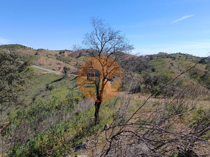 Image No.5-Plot for sale