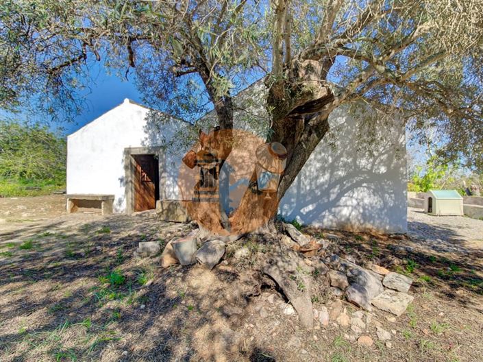 Image No.33-5 Bed Farmhouse for sale