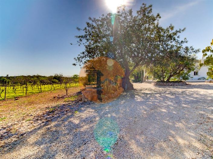 Image No.45-5 Bed Farmhouse for sale