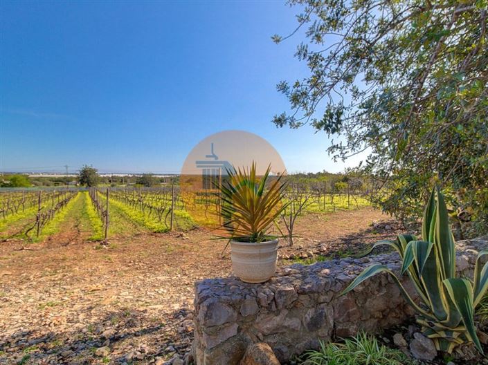 Image No.47-5 Bed Farmhouse for sale