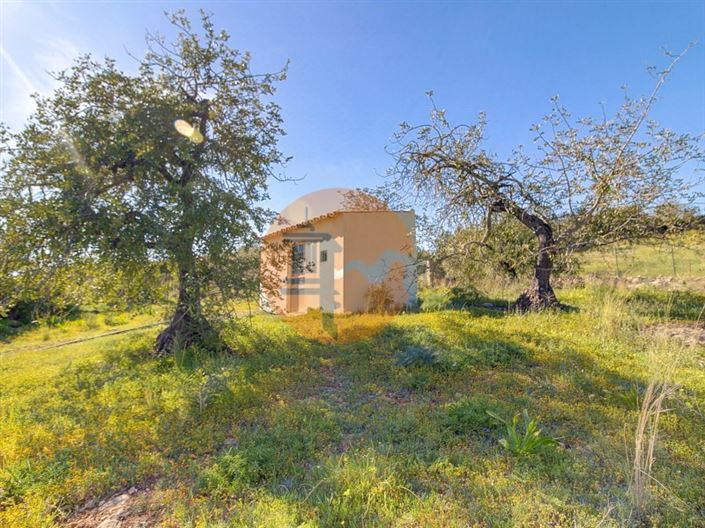 Image No.49-5 Bed Farmhouse for sale