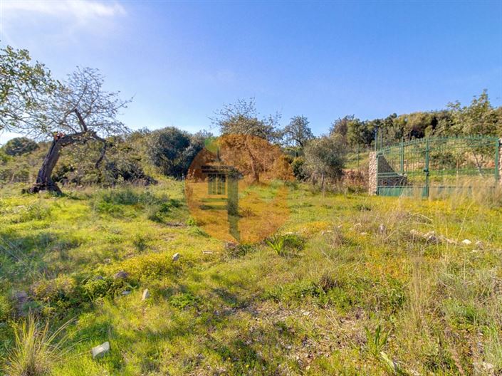 Image No.55-5 Bed Farmhouse for sale