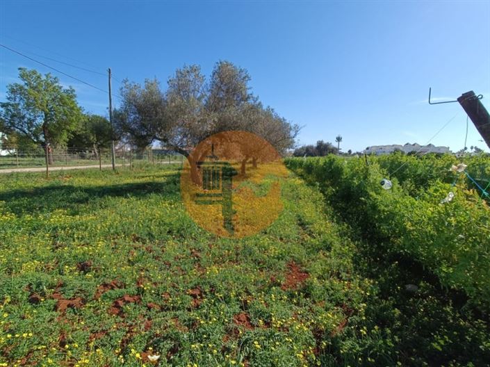 Image No.35-4 Bed Farmhouse for sale