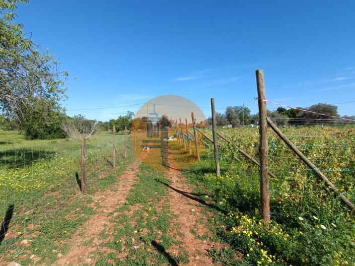 Image No.36-4 Bed Farmhouse for sale