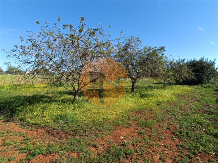 Image No.39-4 Bed Farmhouse for sale