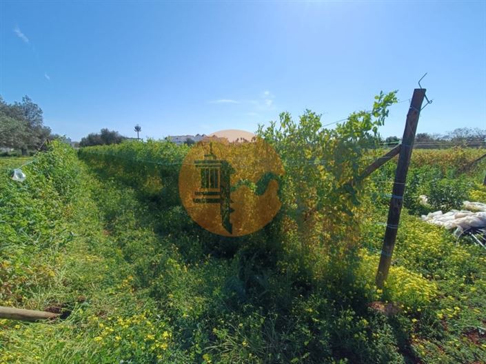 Image No.43-4 Bed Farmhouse for sale