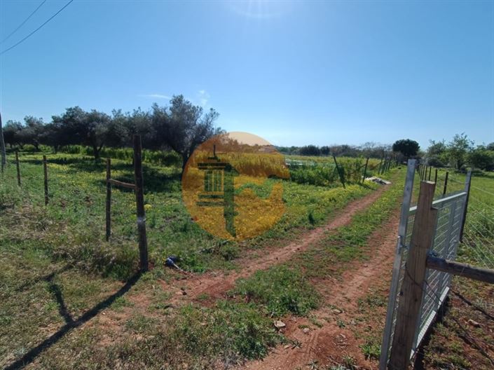 Image No.44-4 Bed Farmhouse for sale