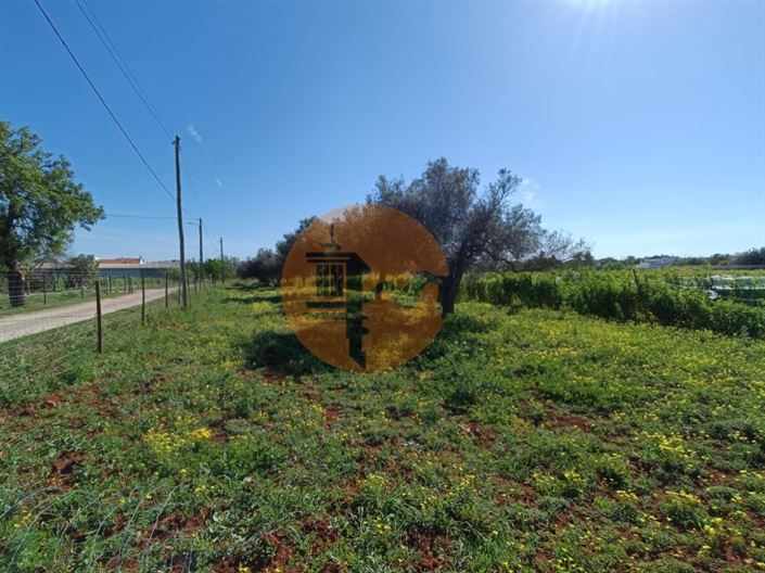 Image No.45-4 Bed Farmhouse for sale