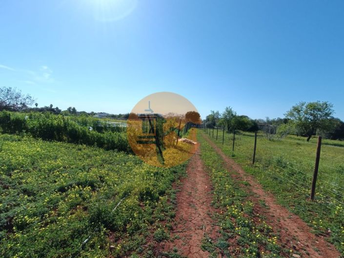 Image No.46-4 Bed Farmhouse for sale