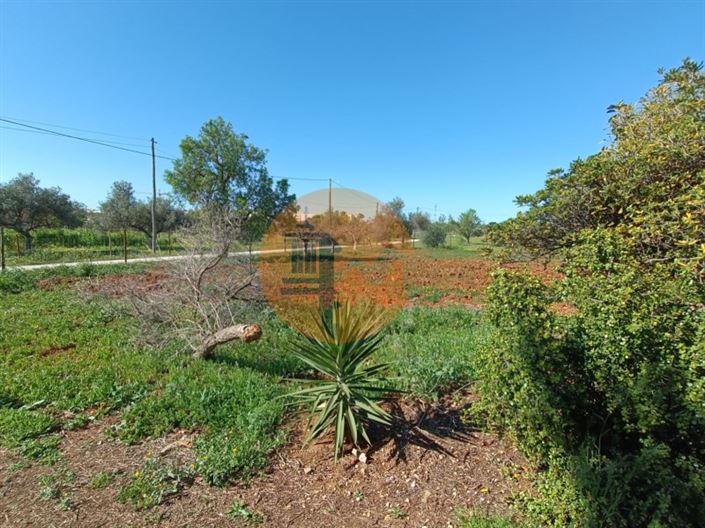 Image No.53-4 Bed Farmhouse for sale