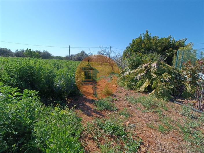 Image No.56-4 Bed Farmhouse for sale