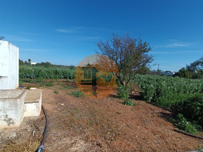 Image No.59-4 Bed Farmhouse for sale