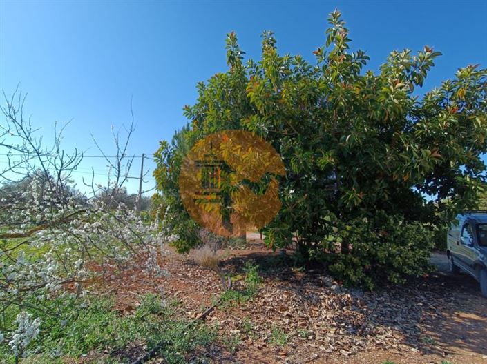 Image No.60-4 Bed Farmhouse for sale
