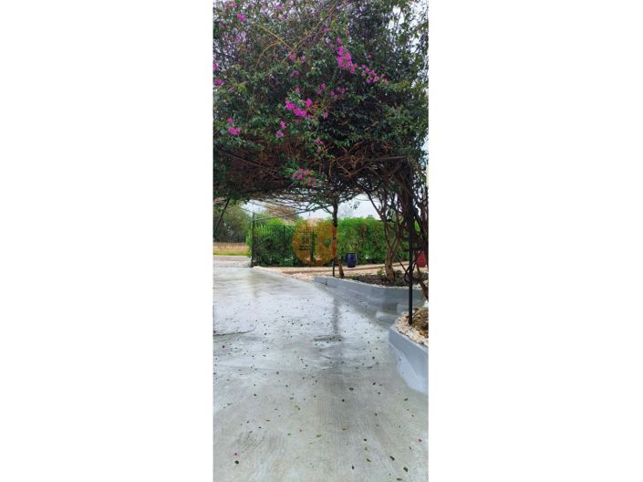 Image No.45-4 Bed House for sale