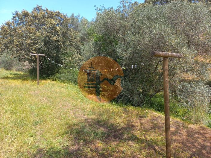 Image No.11-Plot for sale