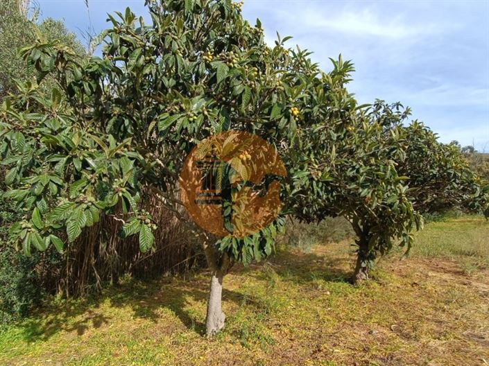 Image No.12-Plot for sale