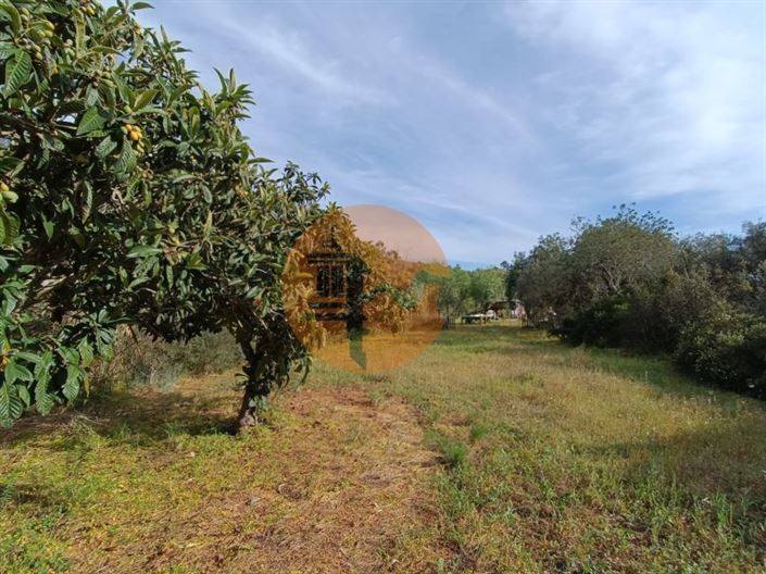 Image No.17-Plot for sale