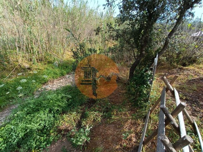 Image No.20-Plot for sale