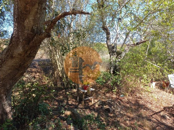 Image No.45-Plot for sale