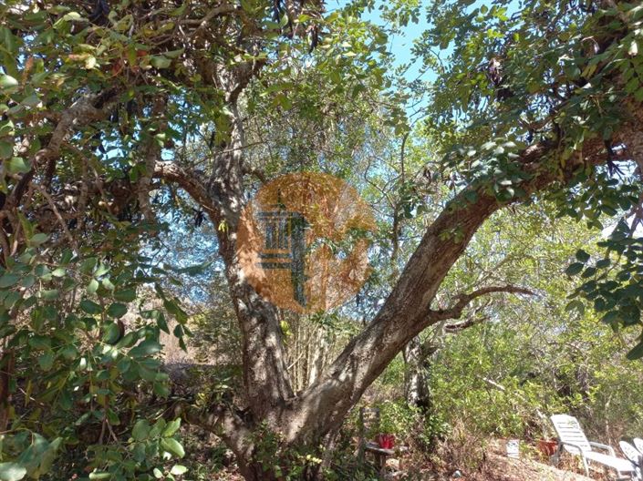 Image No.47-Plot for sale