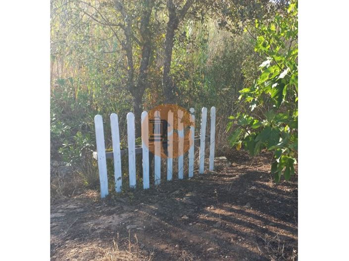 Image No.53-Plot for sale