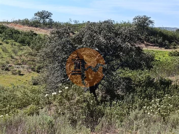 Image No.10-Plot for sale