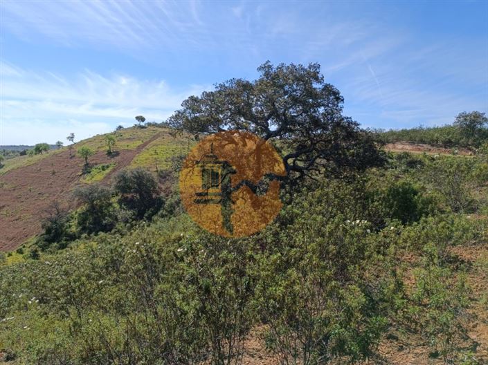 Image No.18-Plot for sale