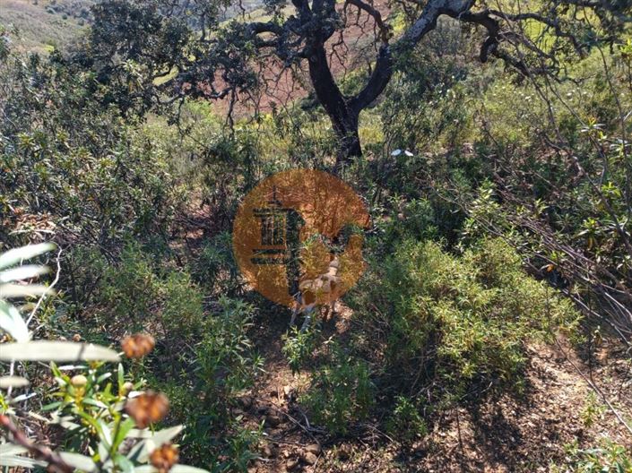 Image No.24-Plot for sale