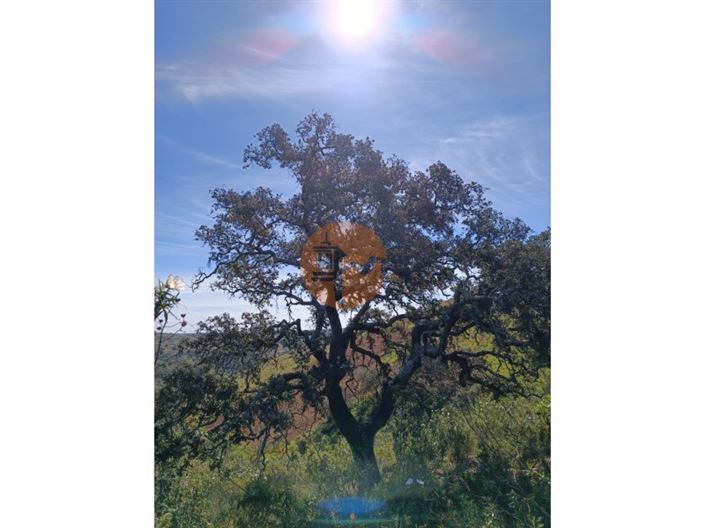 Image No.25-Plot for sale