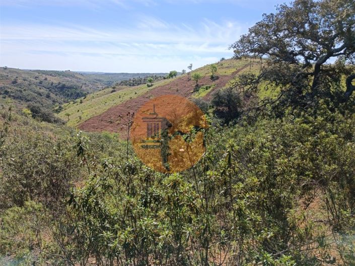 Image No.26-Plot for sale