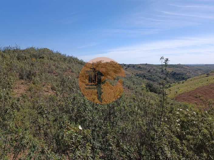 Image No.32-Plot for sale