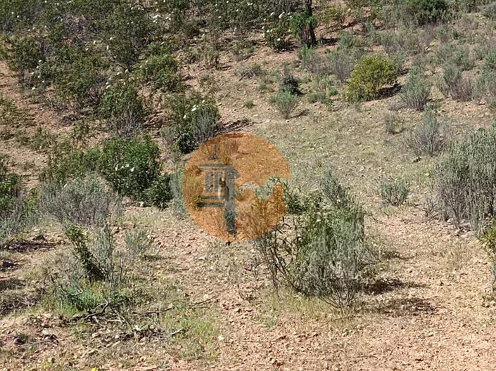 Image No.8-Plot for sale