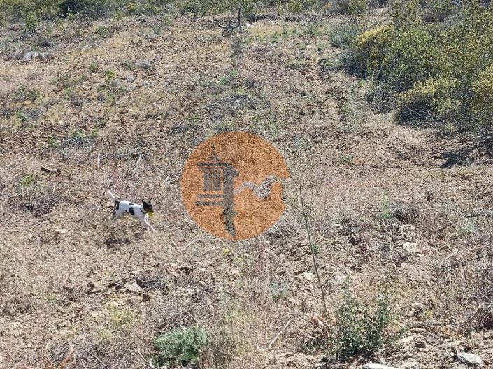 Image No.10-Plot for sale