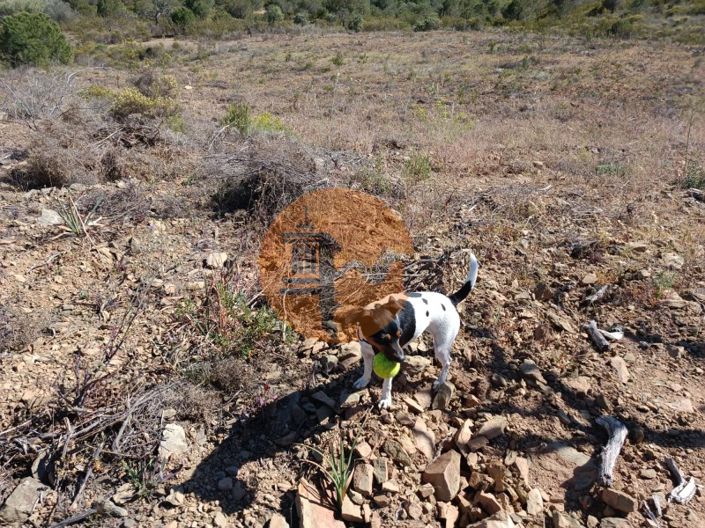 Image No.14-Plot for sale