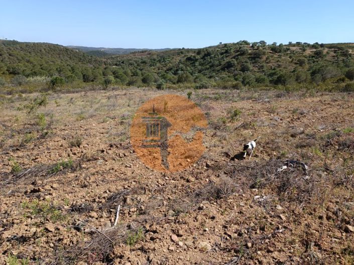 Image No.16-Plot for sale