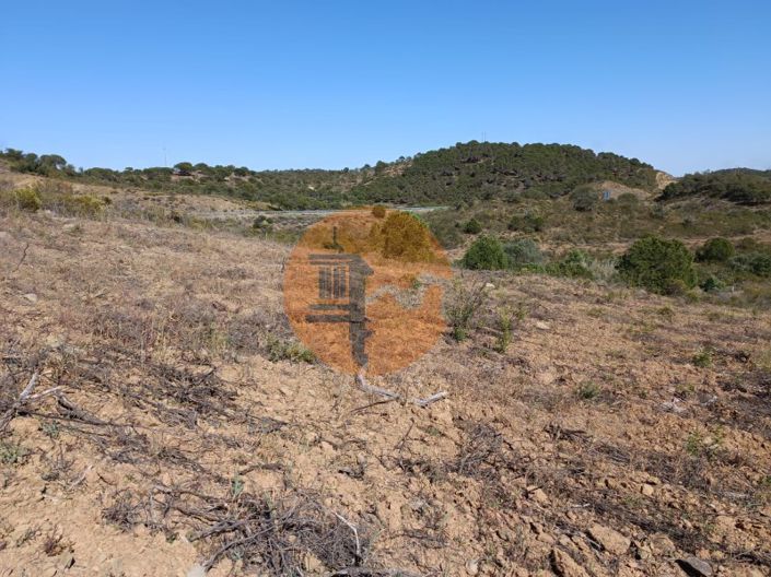 Image No.17-Plot for sale