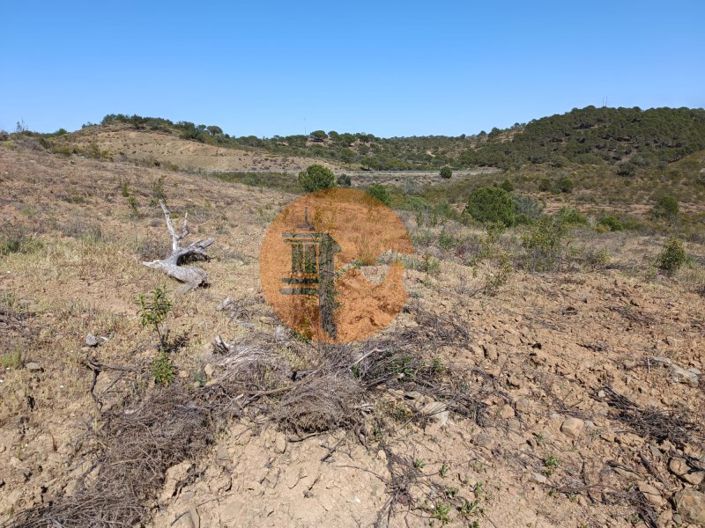 Image No.23-Plot for sale