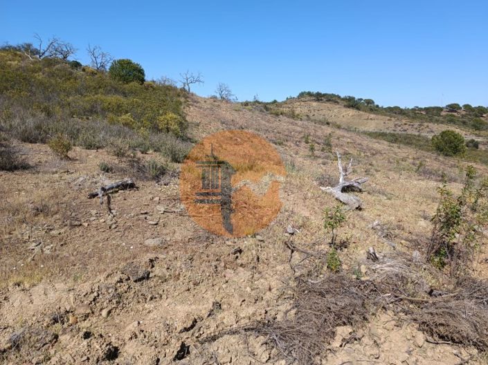 Image No.24-Plot for sale