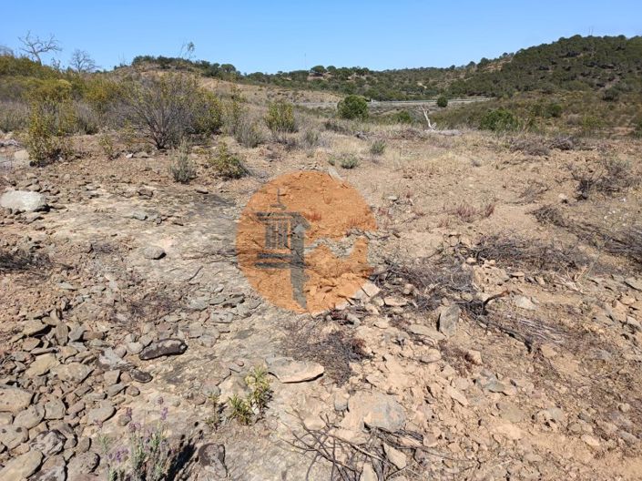 Image No.28-Plot for sale